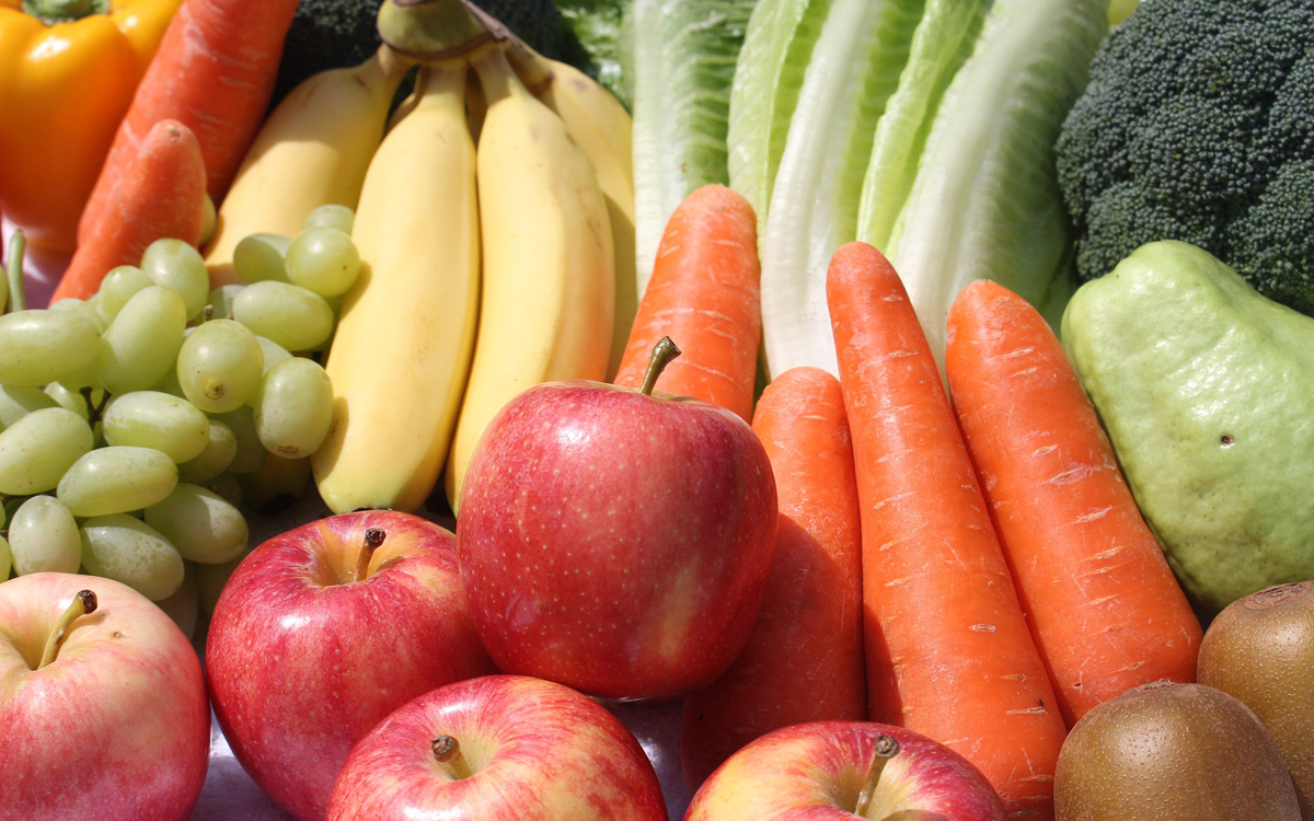 Alimentation-03